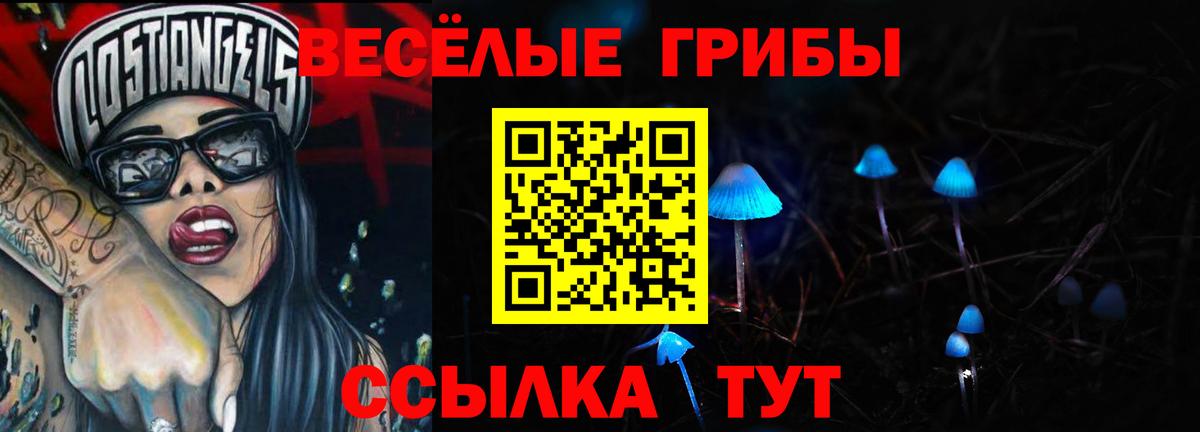 Псилоцибиновые грибы Cubensis  Вход с VPN  Омск  Галлюциногенные грибы GOLDEN TEACHER 